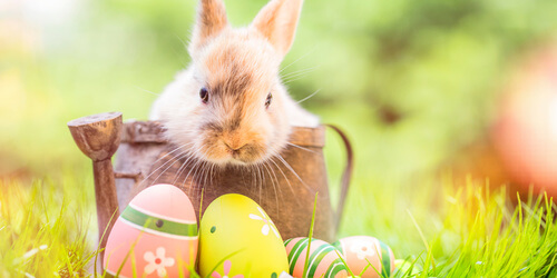 Was hat der Osterhase mit Ostern zu tun?